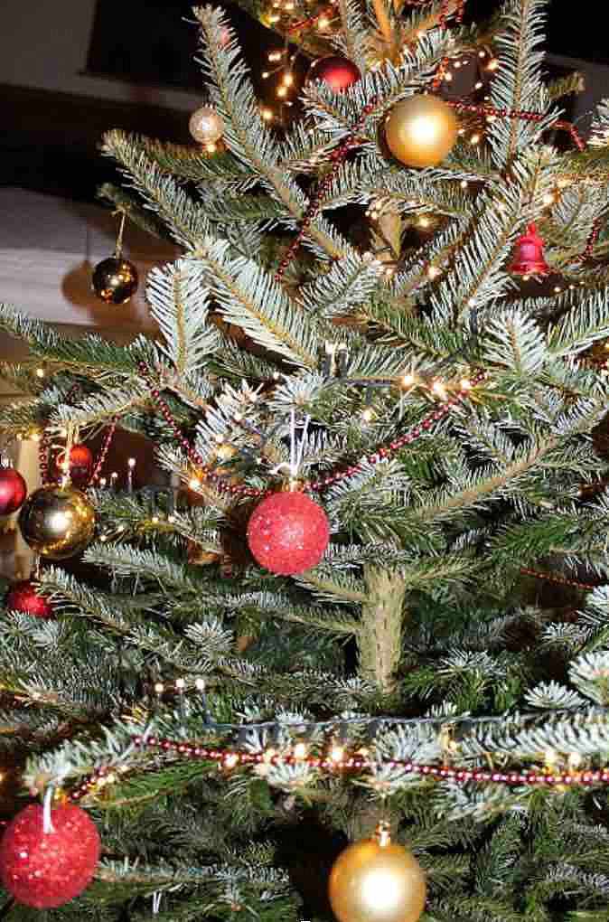 Grafik eines eleuchteten Fensters